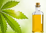 Óleo de neem para cuidados com as plantas